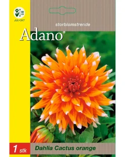 Adano Blomsterløg assorterede varianter| Frø Og Løg