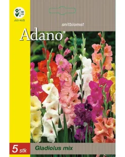 Adano Blomsterløg assorterede varianter| Frø Og Løg