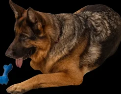 Chrisco Bideben - assorterede farver| Hundelegetøj Og Kattelegetøj