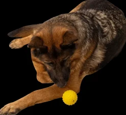 Chrisco Bold med klokke - assorterede farver| Hundelegetøj Og Kattelegetøj