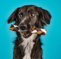 Chrisco Mix-ben 2-pak| Hundefoder, Kattemad Og Godbidder