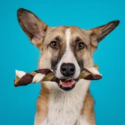 Chrisco Mix-ben 2-pak| Hundefoder, Kattemad Og Godbidder