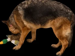 DanPet Hundelegetøj and med reb 42 cm| Hundelegetøj Og Kattelegetøj