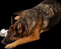 DanPet Hundelegetøj pingvin 22 cm| Hundelegetøj Og Kattelegetøj