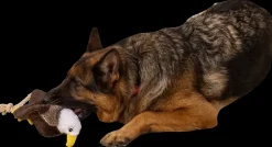 DanPet Hundelegetøj ørn 34 cm| Hundelegetøj Og Kattelegetøj