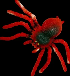 Elastisk edderkop - rød| Øvrigt Legetøj