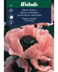 Weibulls Frøportioner assorterede - prisgruppe F| Frø Og Løg