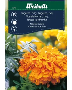 Weibulls Frøportioner assorterede - prisgruppe B| Frø Og Løg