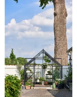 Halls Drivhus Qube+ 88 med hærdet glas - sort| Drivhuse