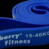 Kilberry Fitness Powerband 15 - 40 kg| Øvrigt Motionsudstyr