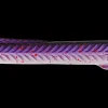 Kinetic Tobias Inline 18 g - Purple Punch| Endegrej Og Madding
