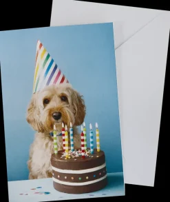 Kort med kuvert 11x17 cm - hund| Festartikler