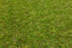 Nakano Kunstgræs Grøn - 100x200 cm| Fliser Og Underlag