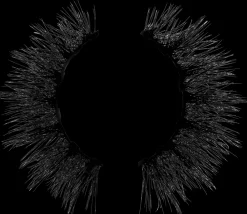 Lovelish Magnetiske øjenvipper - ass. designs| Kosmetik Og Personlig Pleje