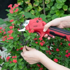 Mitsutomo Grensaks 4V| Grensakse