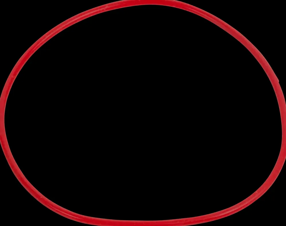 O-ring til sandfilterpumpe - Ø7,05 cm| Reservedele