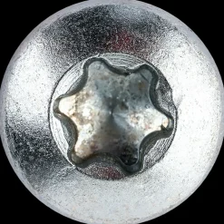 DXstrong Panskrue 6,0 x 80 mm TX30 50 stk.| Skruer