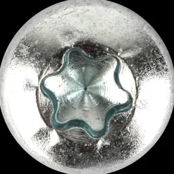 DXstrong Panskrue 6,0 x 16 mm TX30 100 stk.| Skruer