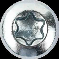 DXstrong Panskrue 3,5 x 15 mm TX15 200 stk.| Skruer