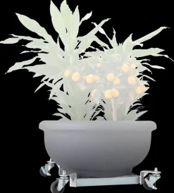 Parasolvogn 40-60 cm| Parasoller Og Parasolfødder