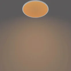 PHILIPS Plafond SceneSwitch slim Ø30cm 18W - hvid| Loftslamper Og -Pendler