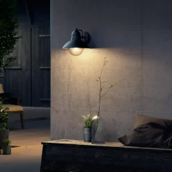 PHILIPS Væglampe Hoverfly E27 - sort| Udendørs Væglamper