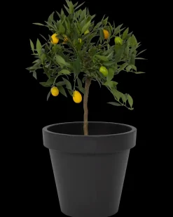 Plantekrukke antracitgrå Ø40 cm| Potter, Krukker Og Plantemøbler