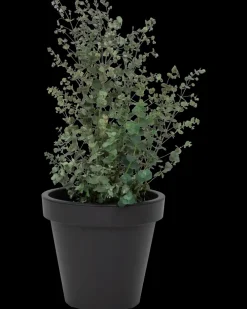 Plantekrukke antracitgrå Ø30 cm| Potter, Krukker Og Plantemøbler