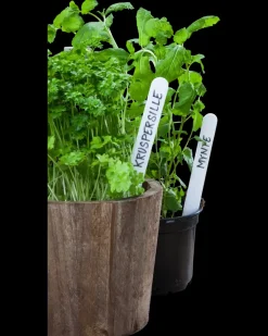 Adano Plantemærke 15 cm 50-pak| Planteartikler Og -Opbinding