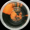 Berkley PowerBait PowerBait Black/Orange Glitter| Endegrej Og Madding