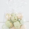 Påskeæg pastel 12-pak| Festartikler