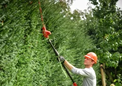 SKIL Teleskopisk hækkeklipper 20V| Hækkeklippere