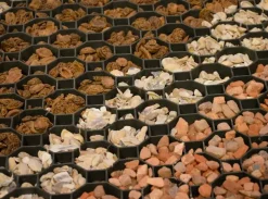 Stella Green Græsarmering - 49 x 49 cm sort| Afvanding Og Dræn