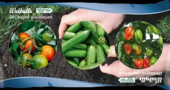 Weibulls Økologisk plantesæk 40 L| Gødning Og Jord