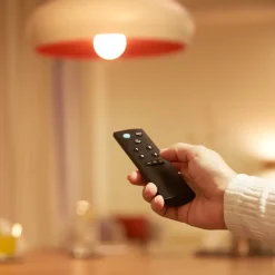 WiZ mote fjernbetjening| Tilbehør Og Reservedele